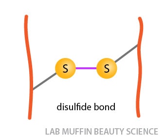 disulfide bond bridge