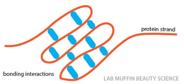 hair protein folding