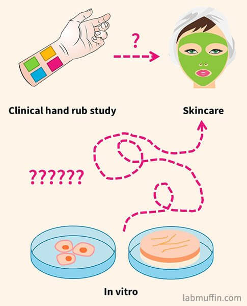 in vitro vs clinical results: applicability to skincare