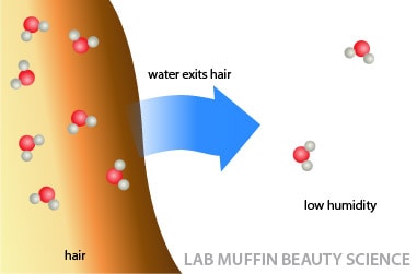 low humidity water hair