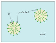 Surfactants Are Everywhere, aka Stop Being Terrified of Chemicals