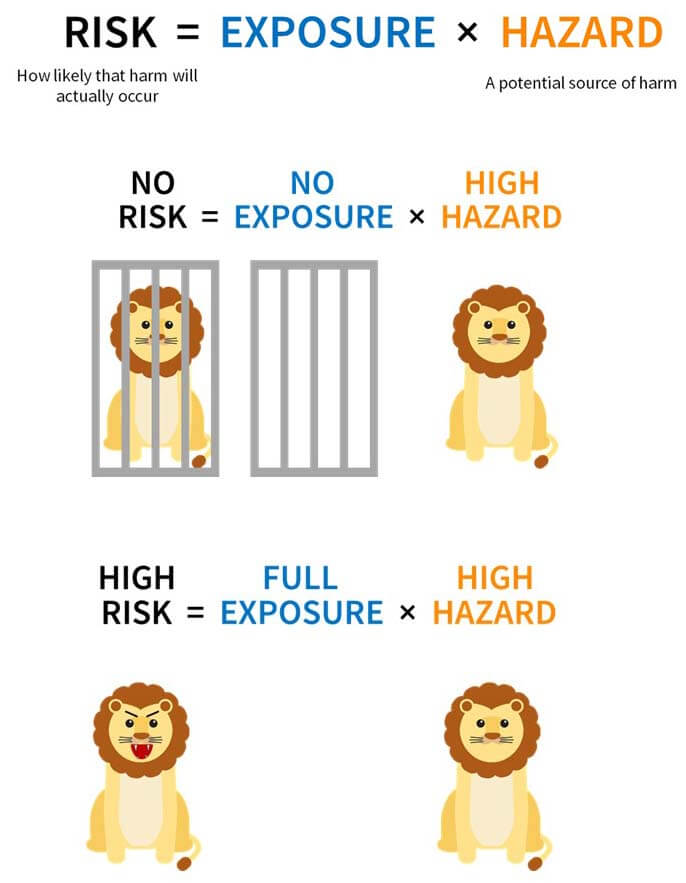 risk hazard lion