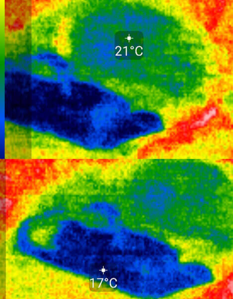 Sunscreen evaporating ethanol